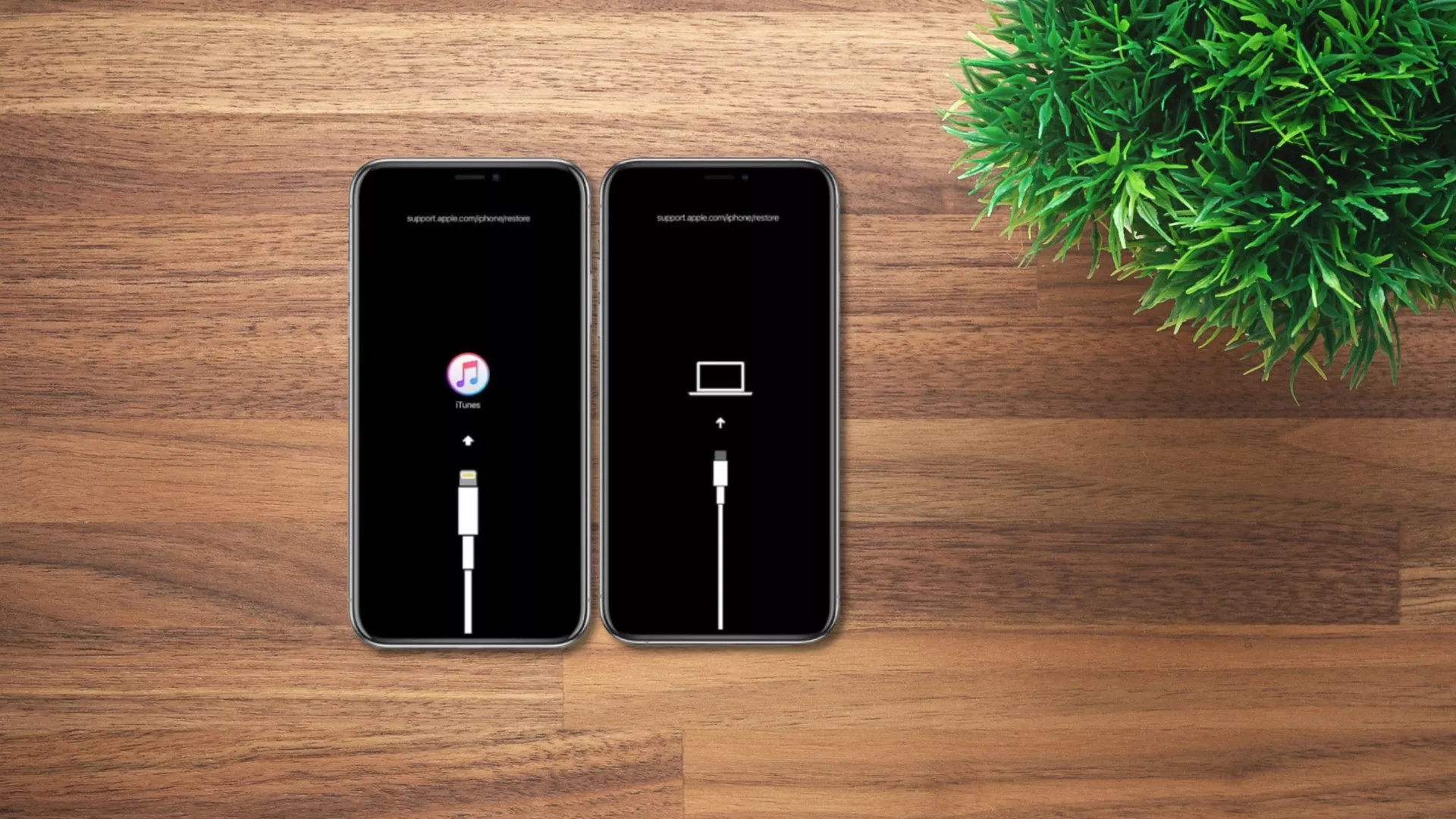 Apa itu iPhone Recovery Mode? Pengertian, Fungsi & Cara Menggunakannya