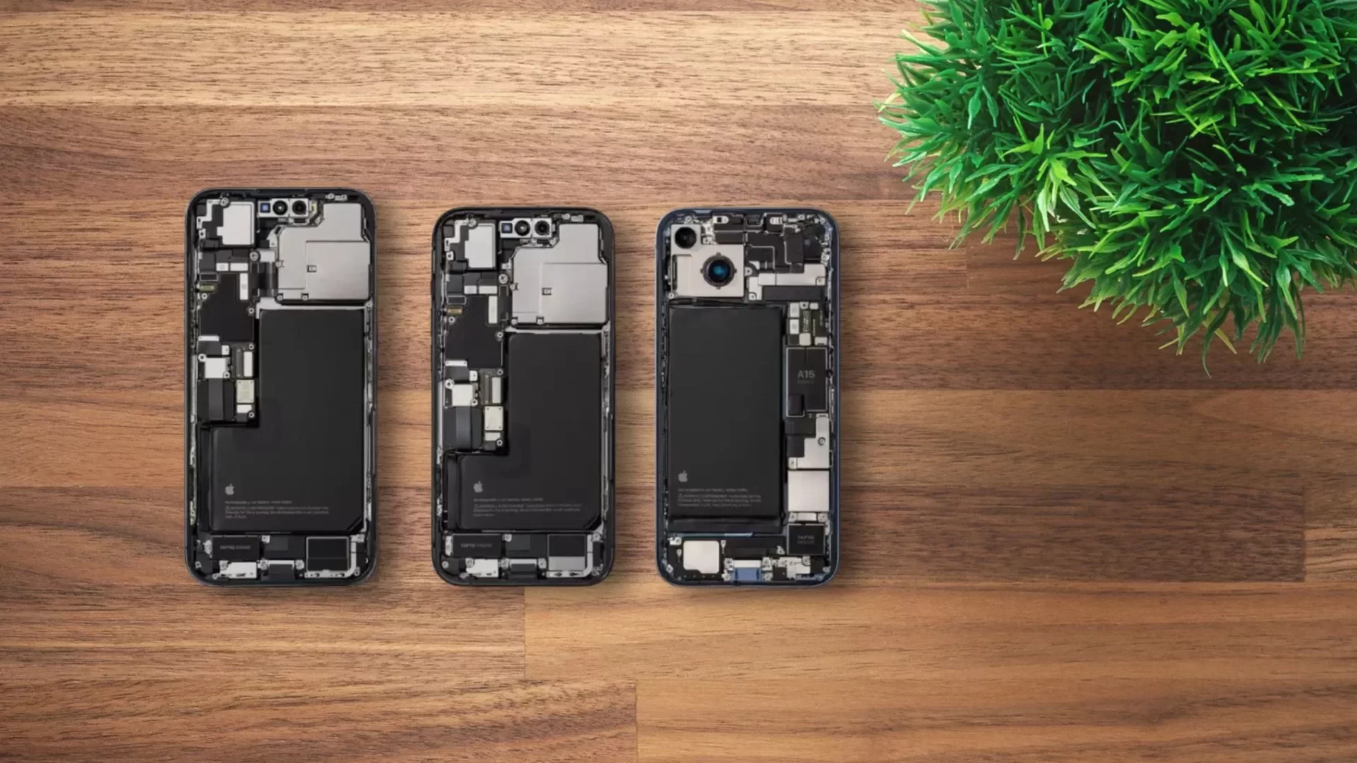 Ciri-ciri iPhone Sudah Dibongkar Agar Tidak Salah Pilih